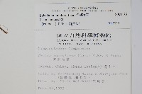 普刺特草藏品圖，第2張