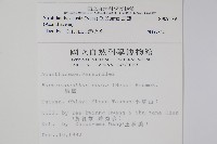 曲莖馬藍藏品圖，第2張