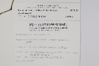 曲莖馬藍藏品圖，第2張