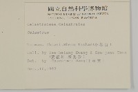 登錄號:S009192藏品圖，第2張