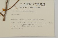 登錄號:S009193藏品圖，第2張