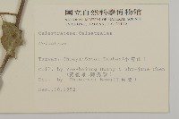 登錄號:S009195藏品圖，第2張