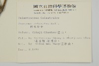 刺果衛矛藏品圖，第2張