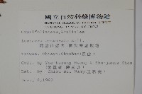 阿里山忍冬、漸尖葉忍冬藏品圖，第2張