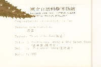 黃菀藏品圖，第2張