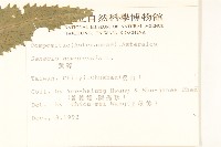 黃菀藏品圖，第2張