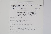 大本山梗菜藏品圖，第2張