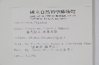 臺灣赤楊、臺灣榿木藏品圖，第2張