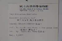 阿里山忍冬、漸尖葉忍冬藏品圖，第2張