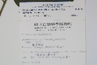 臺灣樹參藏品圖，第2張