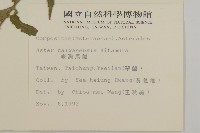 臺灣馬蘭藏品圖，第2張