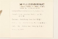 紅面番藏品圖，第2張