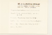 紅面番藏品圖，第2張