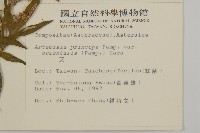 中南蒿藏品圖，第2張