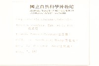 蔓黃菀藏品圖，第2張