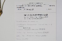 臺灣馬藍藏品圖，第2張
