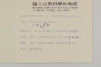臺灣山白蘭藏品圖，第2張
