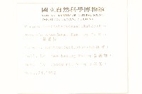 蔓黃菀藏品圖，第2張