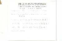 蔓黃菀藏品圖，第2張