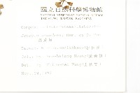 蔓黃菀藏品圖，第2張