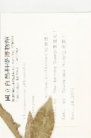 登錄號:S009364藏品圖，第2張