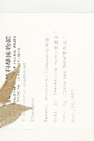 登錄號:S009365藏品圖，第2張