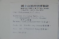 狹葉莢迷藏品圖，第2張