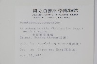 曲莖馬藍藏品圖，第2張