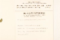 粗毛小米菊藏品圖，第2張