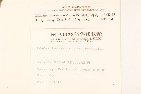 粗毛小米菊藏品圖，第2張