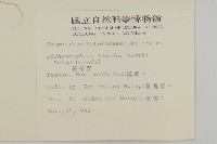 茯苓菜藏品圖，第2張