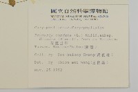 荷蓮豆草、菁芳草藏品圖，第2張