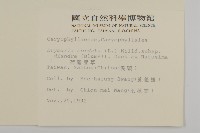 荷蓮豆草、菁芳草藏品圖，第2張