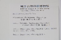 華參、裡白八角金盤藏品圖，第2張