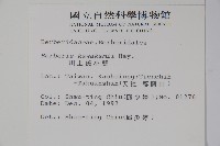 臺灣小蘗藏品圖，第2張