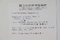 山桔梗藏品圖，第2張