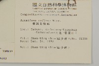 臺灣鬼督郵藏品圖，第2張