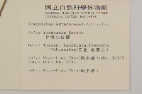 臺灣山白蘭藏品圖，第2張