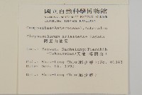 阿里山油菊藏品圖，第2張