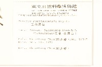 玉山黃菀藏品圖，第2張