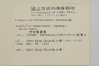 尼泊爾籟簫藏品圖，第2張