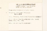 福山氏飛蓬藏品圖，第2張