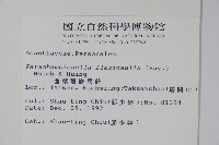 曲莖馬藍藏品圖，第2張