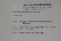登錄號:S009757藏品圖，第2張