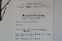 登錄號:S009758藏品圖，第2張
