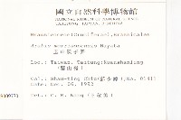 玉山筷子芥藏品圖，第2張