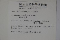 無梗忍冬藏品圖，第2張