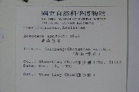 無梗忍冬藏品圖，第2張