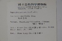 無梗忍冬藏品圖，第2張