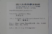 無梗忍冬藏品圖，第2張